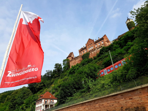 Schlossfestspielfahne mit Schloss und S-Bahn im Hintergrund