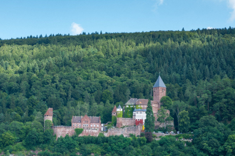 Schloss Zwingenberg im Wald